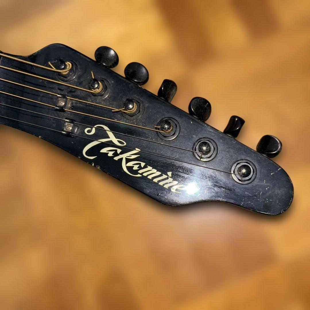 タカミネ　エレアコ