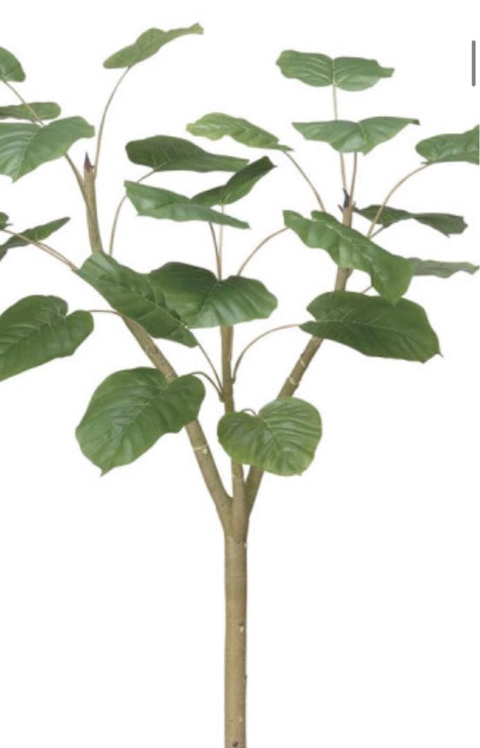 光触媒　人工観葉植物　フェイクグリーン　ナチュラルウンベラータ1.5