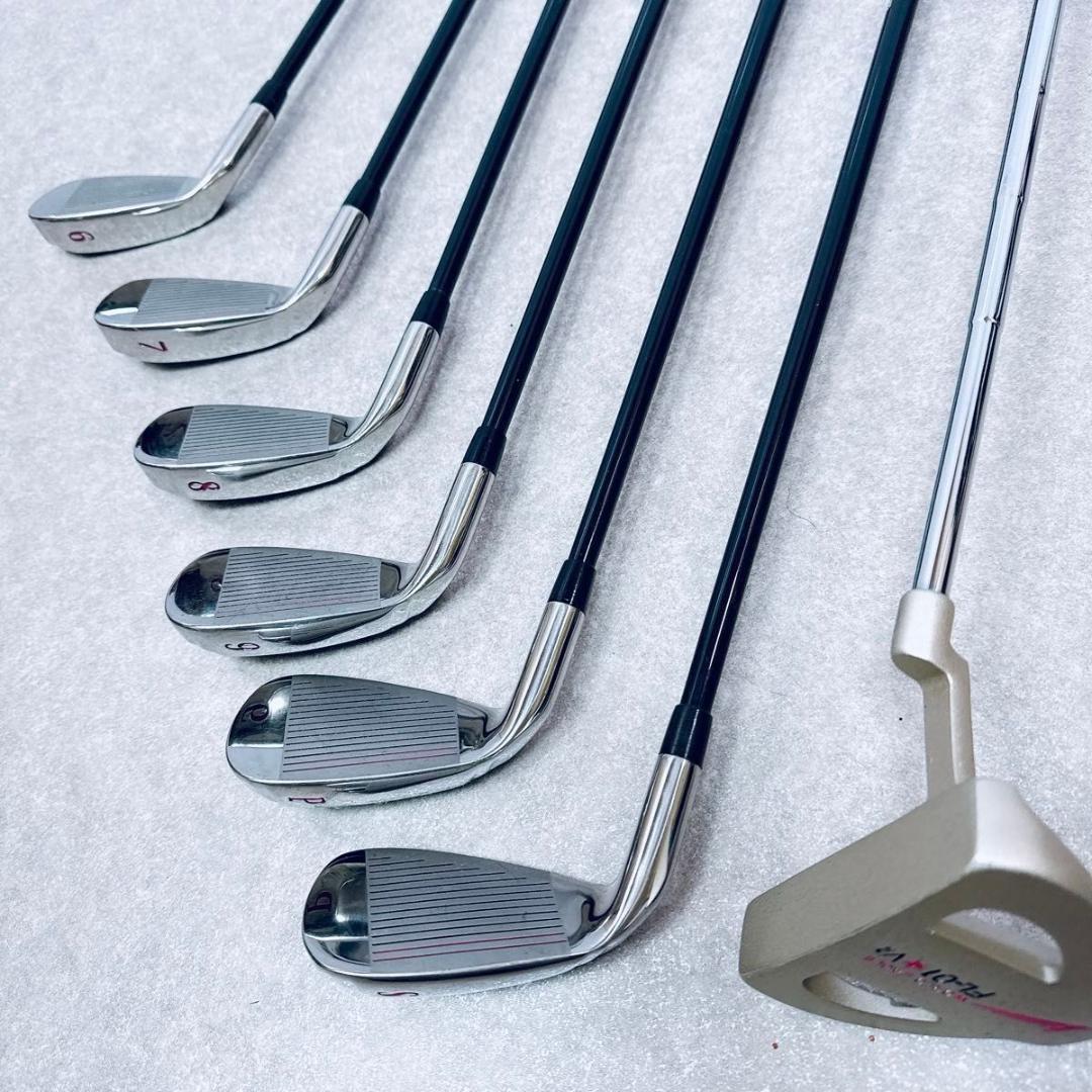 ワールドイーグル FL-01★V2 レディースゴルフセット 10本 初心者 入門