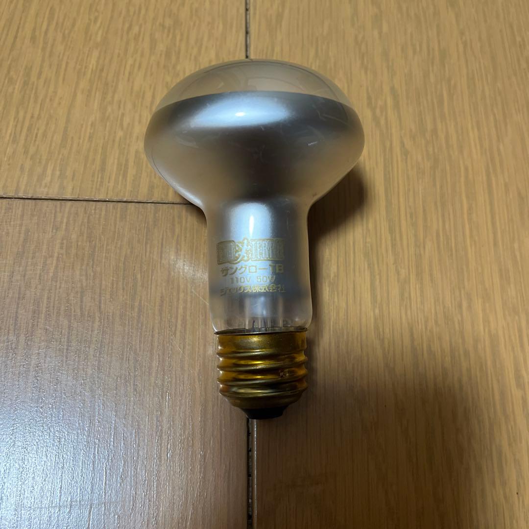 爬虫類 トカゲ カナヘビ 飼育セット　紫外線ライト 保温ライト