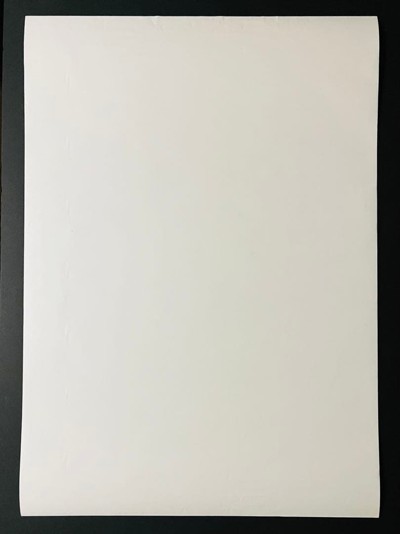 サッポロ生ビール　2003年キャンペーンガール　村上恵梨さんポスターB2サイズ