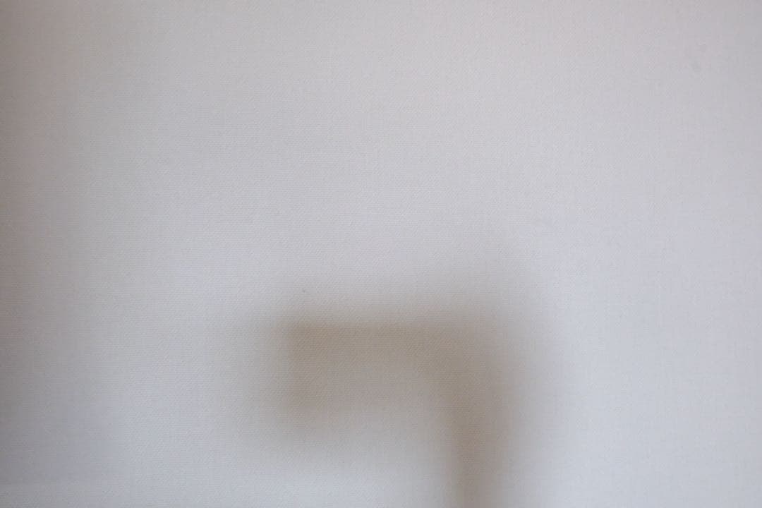 美品Fujifilm x-pro2 グリップ ・バッテリー2個 撮影2326枚