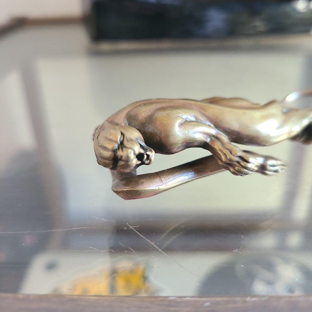 ソフトマシーン キャリー ガルシア ブラックパンサー 黒豹 galcia