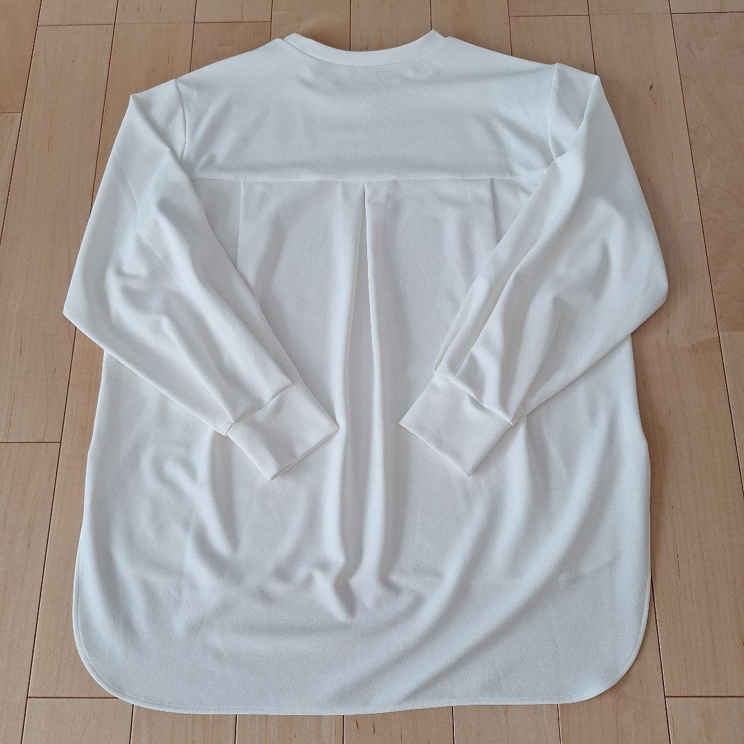 BEARDSLEY/ビアズリー　t ブラウス　ホワイトF