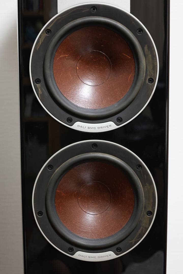 dali ダリepicon6 ブラック