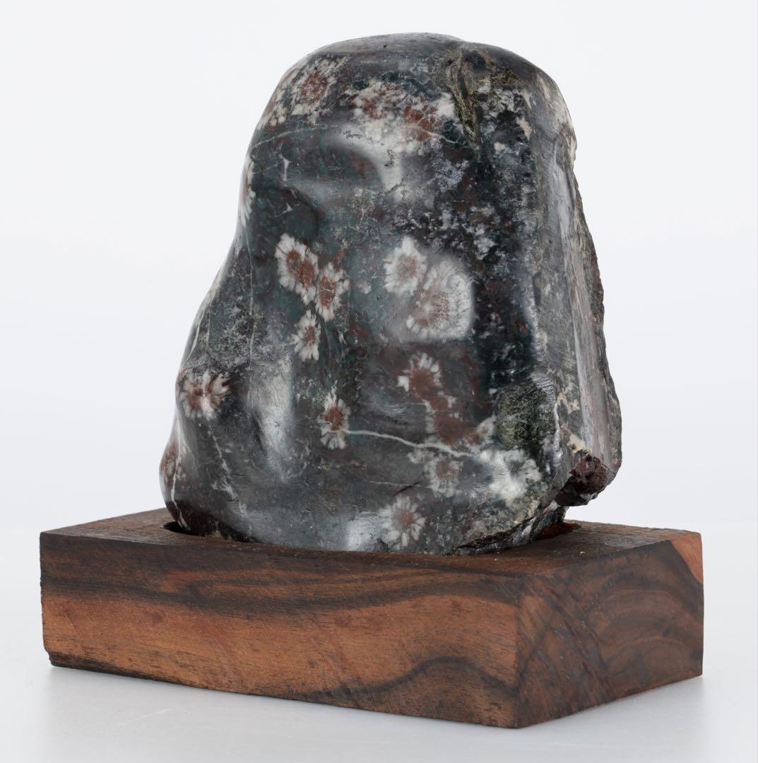 菊花石 菊紋石 小菊 紋石 台座 箱付 1kg 鑑賞石 原石 自然石 美石 水石