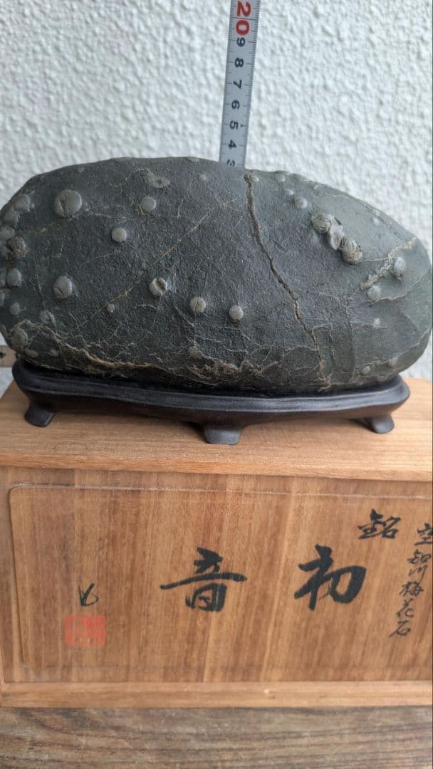 北海道 空知川 梅花石 銘 和音 一雨会師範 園藤雨園翁遺愛石