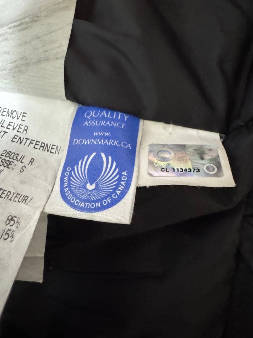 カナダグース　ブロンテ