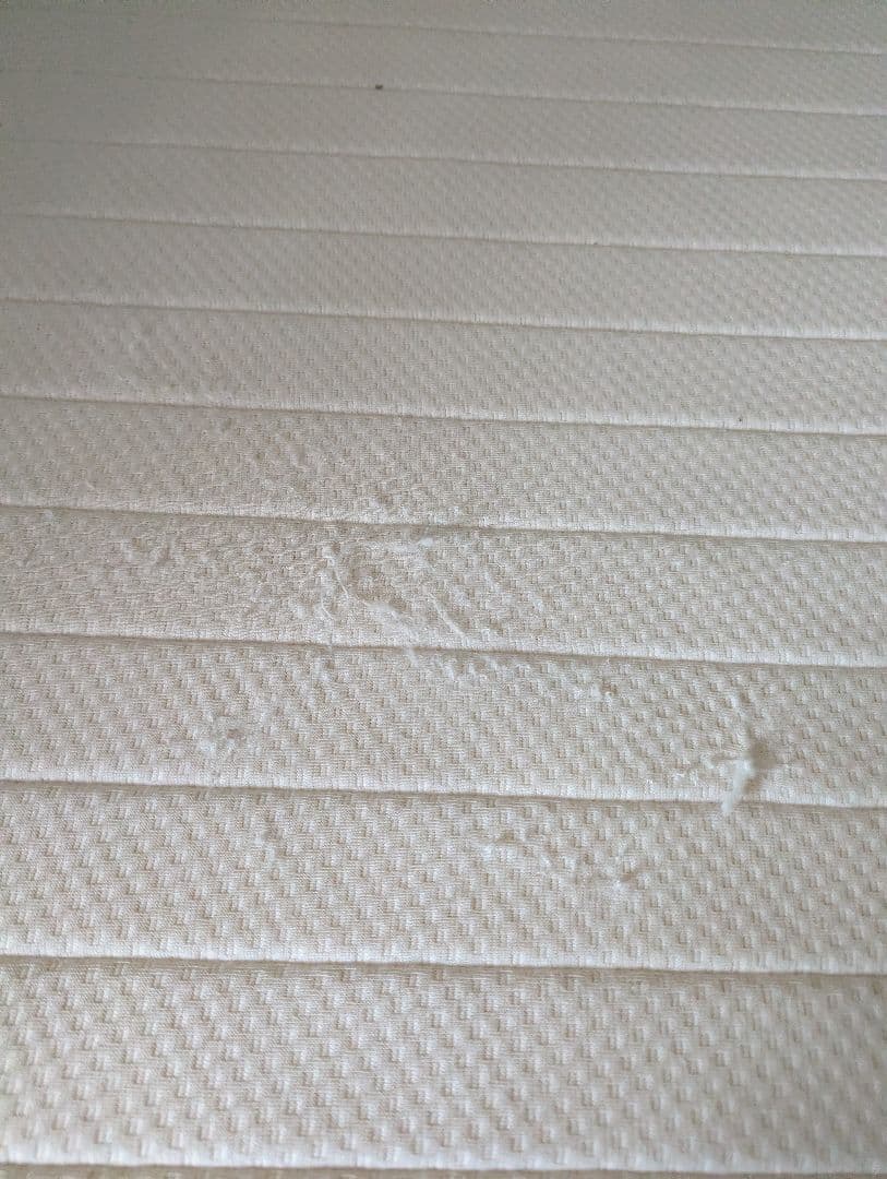 【直接引き渡し】シングルマットレス　ニトリ　Ｎスリーププレミアム