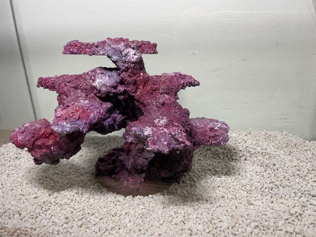 現品在庫SALE！人工ライブロック　SHR24 アク抜き済み安心塗料使用