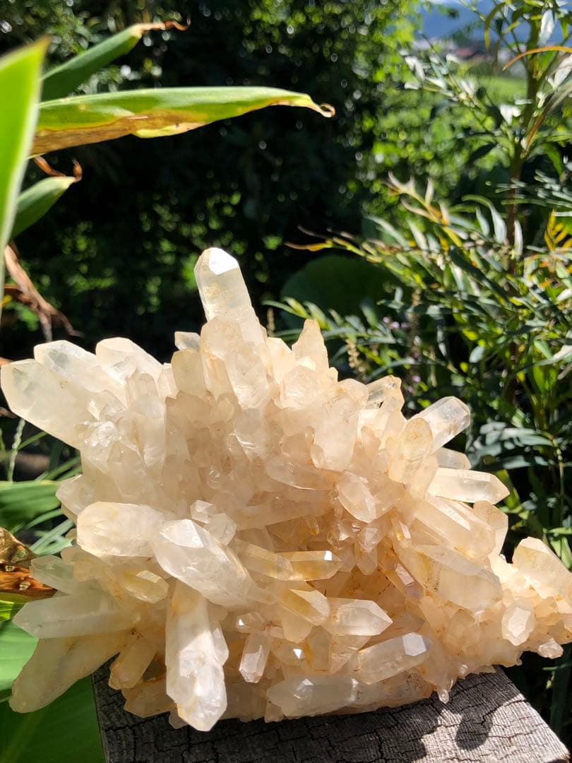 ❤️買い得　1kg 超レア　花形　強いパワー　極みの逸品　クラスター　水晶