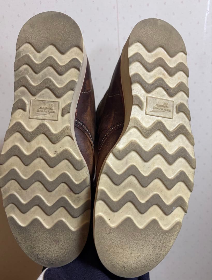 REDWING アイリッシュセッター