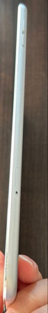 iPad mini 第4世代　A1550 16G