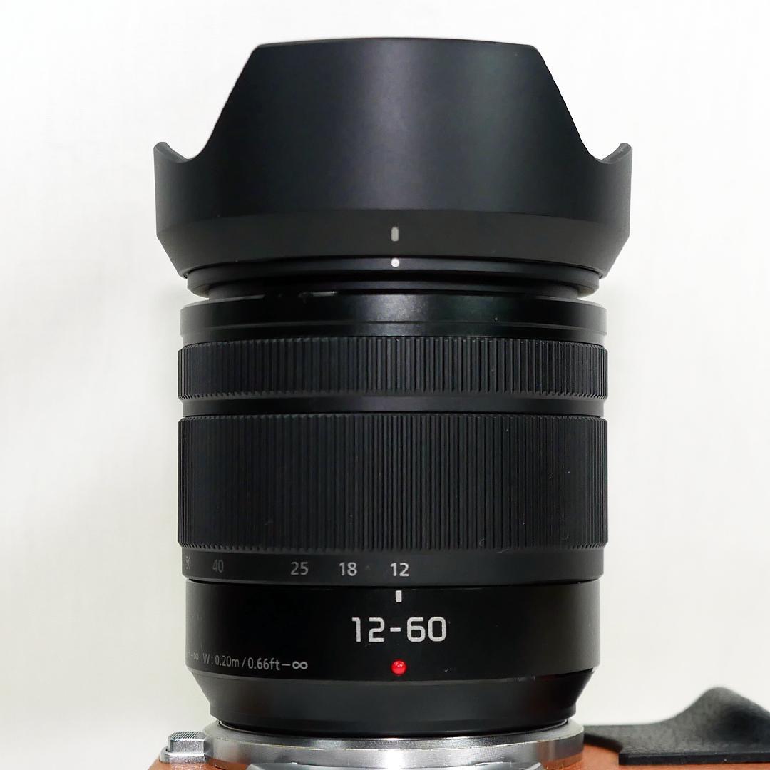 Panasonic Lumix 標準ズームレンズ H-FS12060