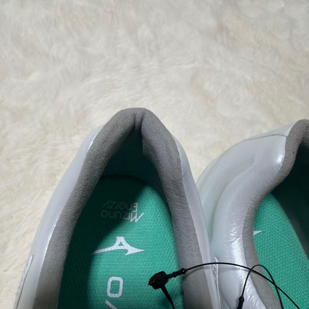 ミズノプロライトレボプロ2 26.0センチ　新品未使用　かかと部若干汚れ　袋付