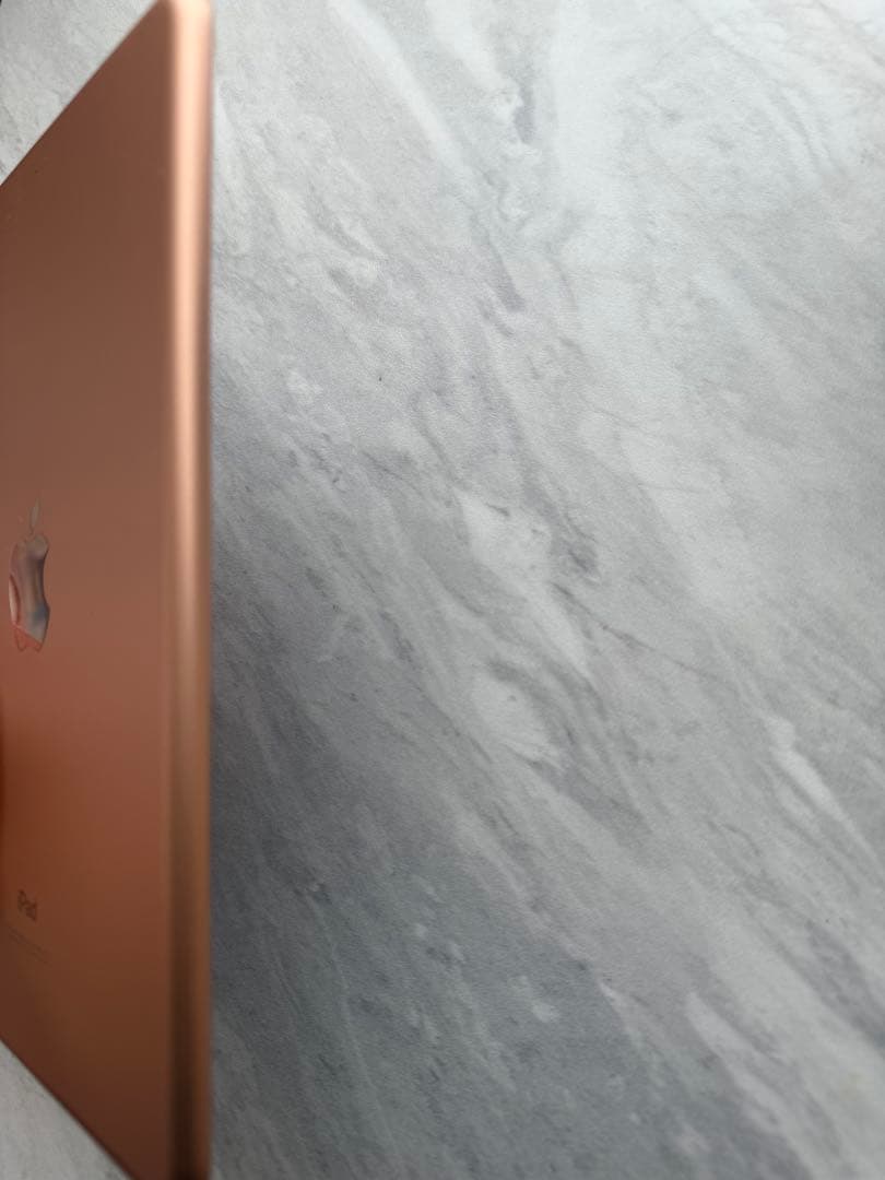 ［美品］iPad mini5 256GB Wi-Fiモデル