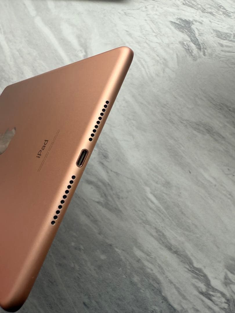 ［美品］iPad mini5 256GB Wi-Fiモデル