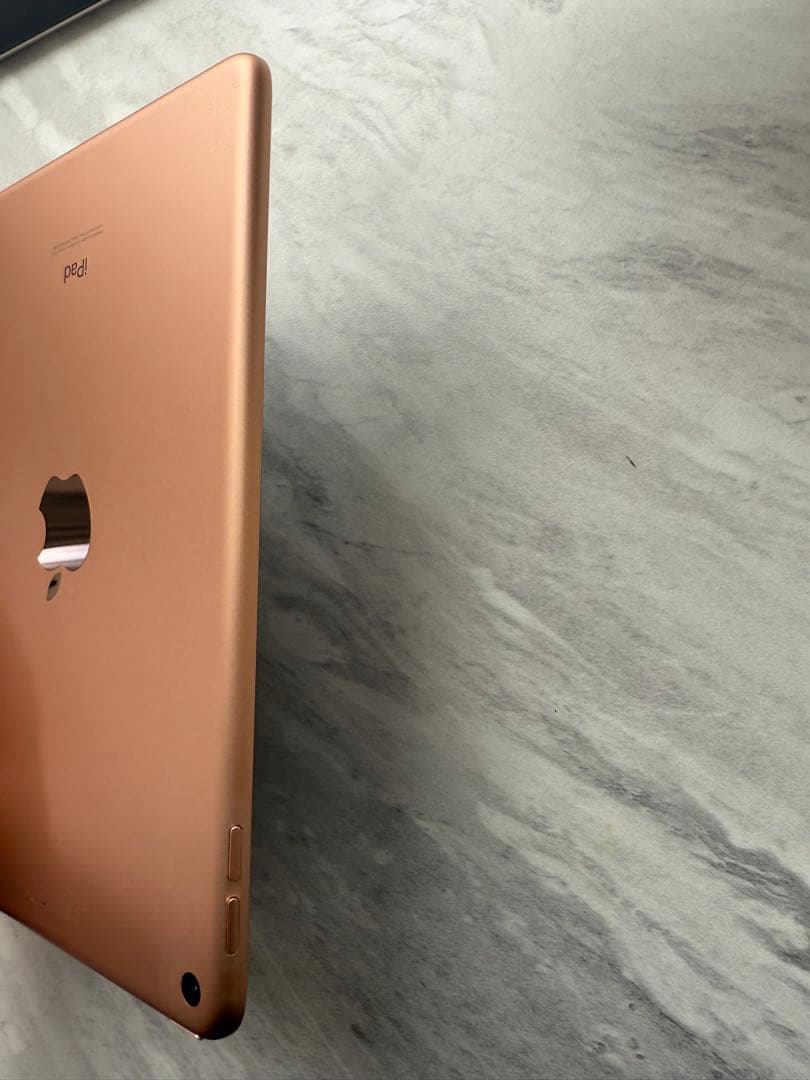 ［美品］iPad mini5 256GB Wi-Fiモデル