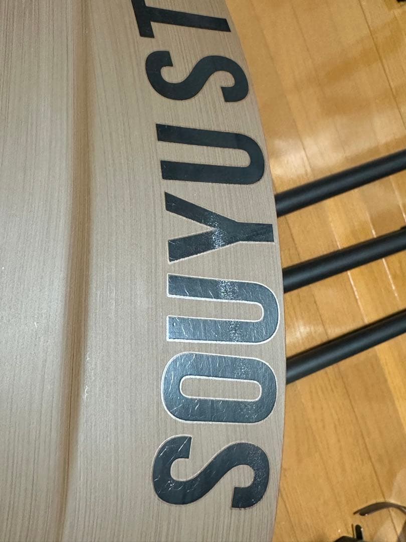 SOUYU STICK カーボンパドル　4PCS