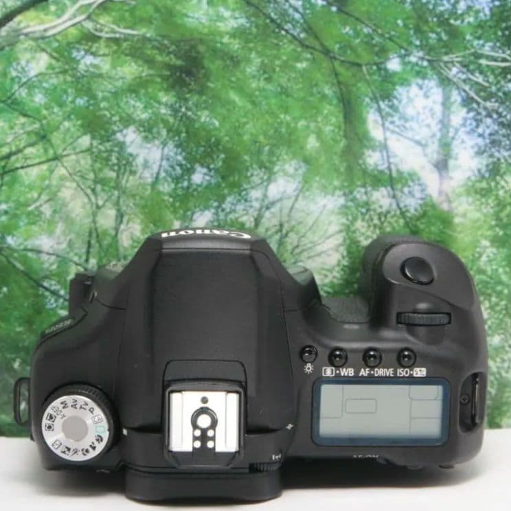 ❤美品♪canon EOS 50D♪高級ボディ!!スマホ転送&超高速連写❤