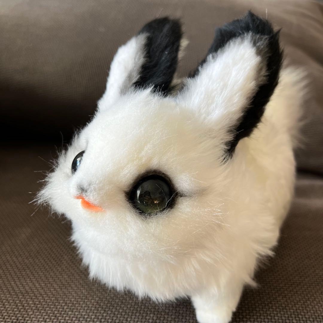 黎*様 作家様（テリトリドール様）アートドール　うみうさ