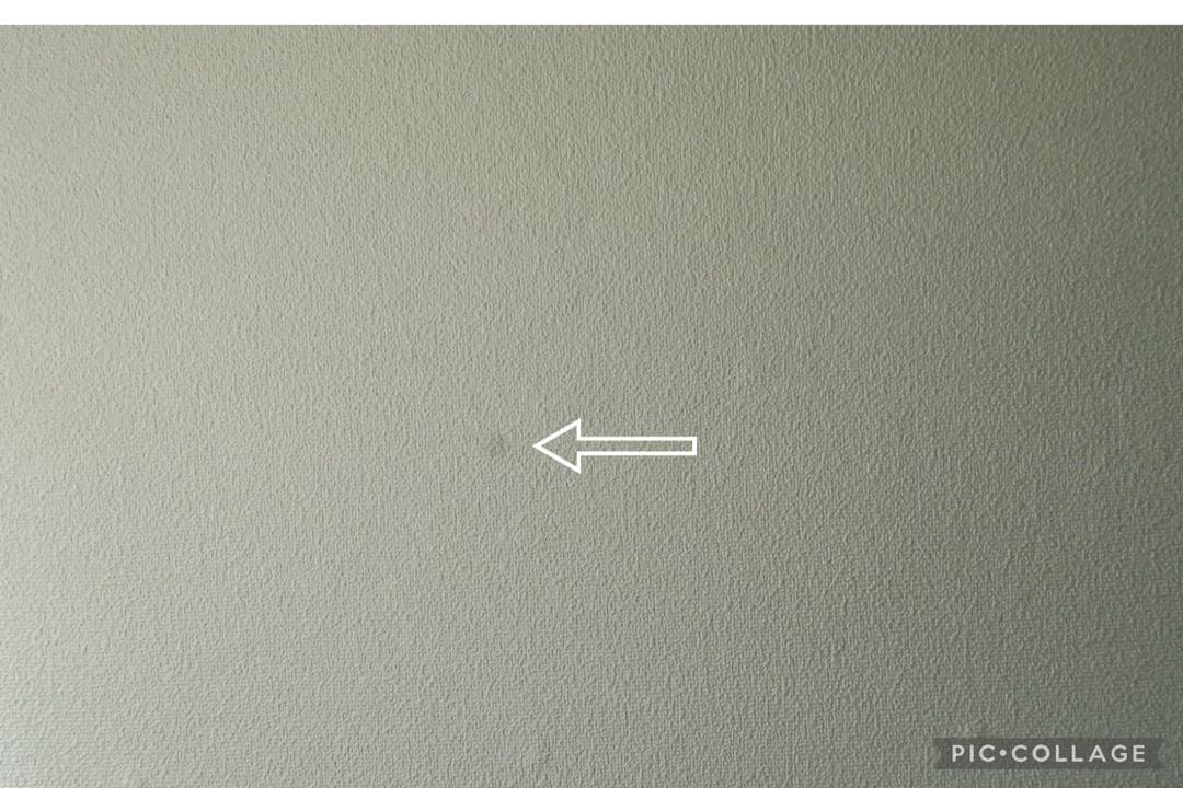 Canon PowerShot G7 X・バッテリー2個&SDカード付