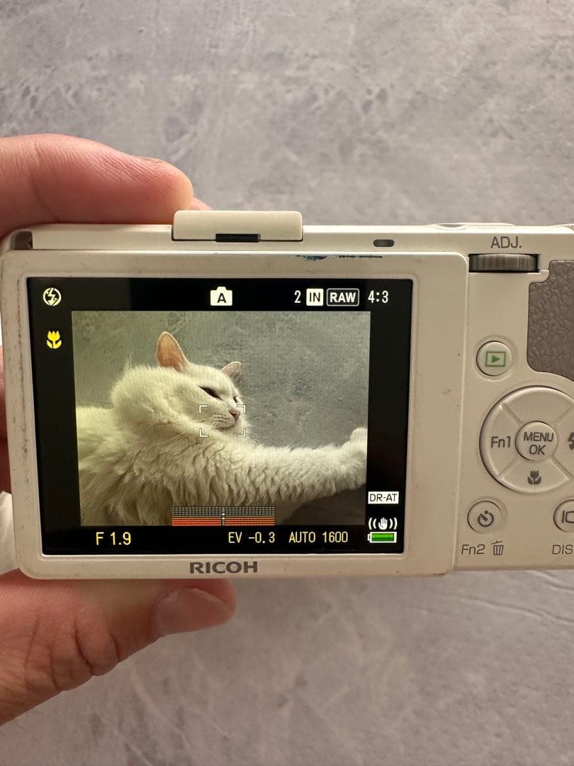 【おまけ付き】RICOH GR DIGITAL Ⅳ ホワイトエディション