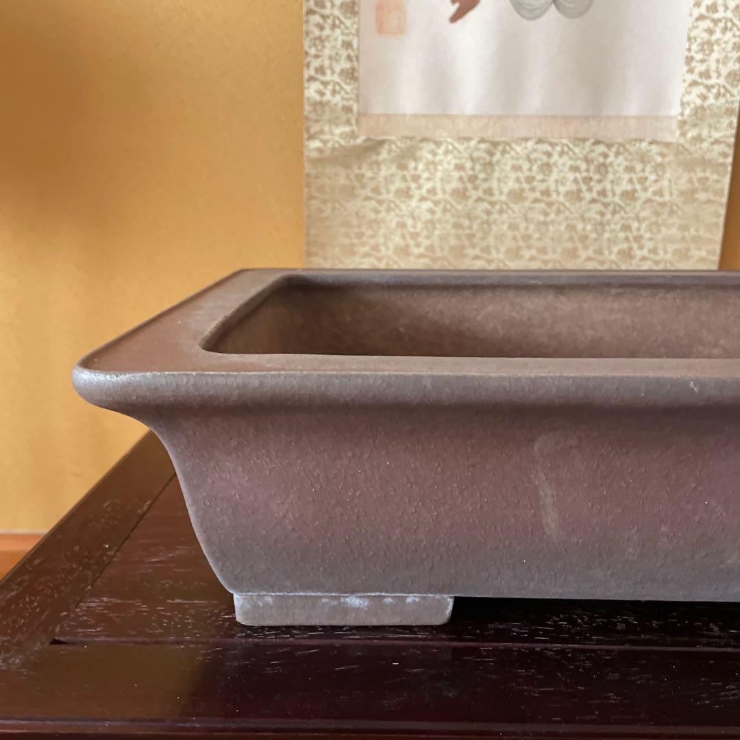 【落款あり】盆栽鉢 常滑 山秋造 松泉焼 紫泥 長方外縁泥物 43cm