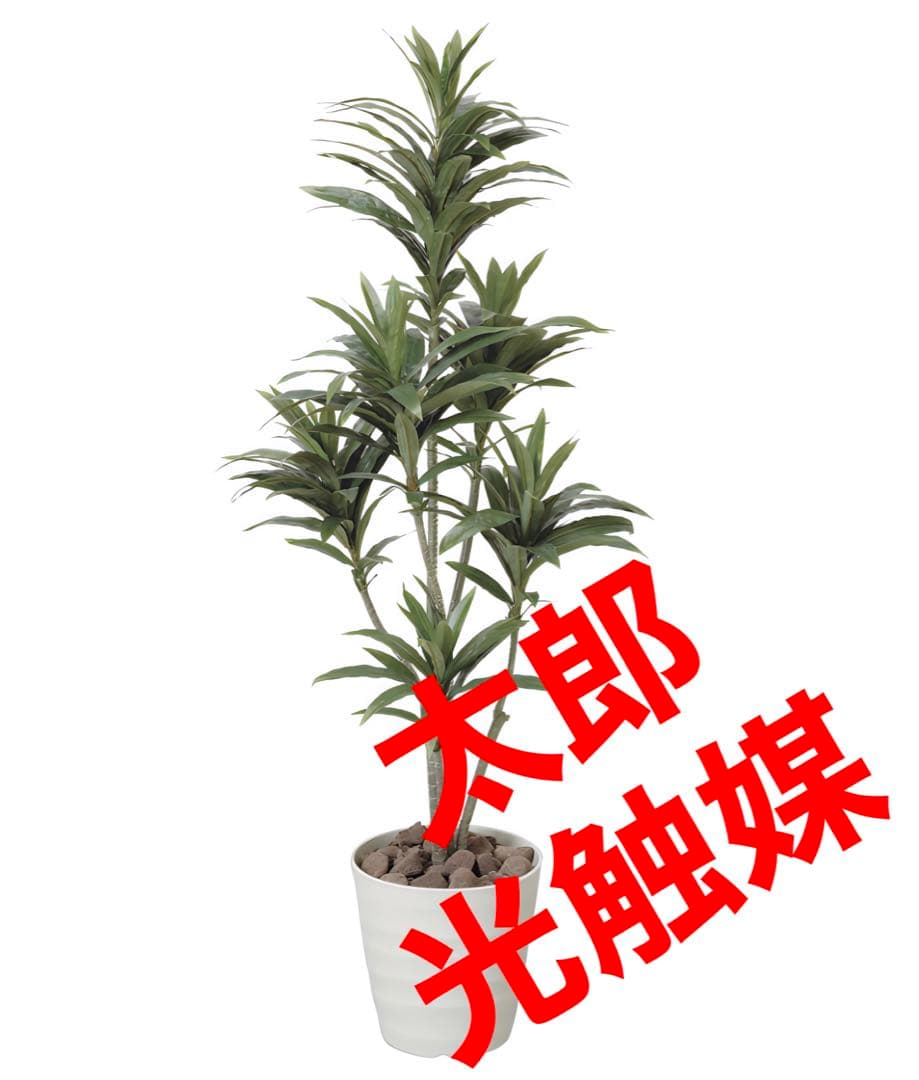 光触媒　人工観葉植物　フェイクグリーン　ドラセナコンパクタ1.25