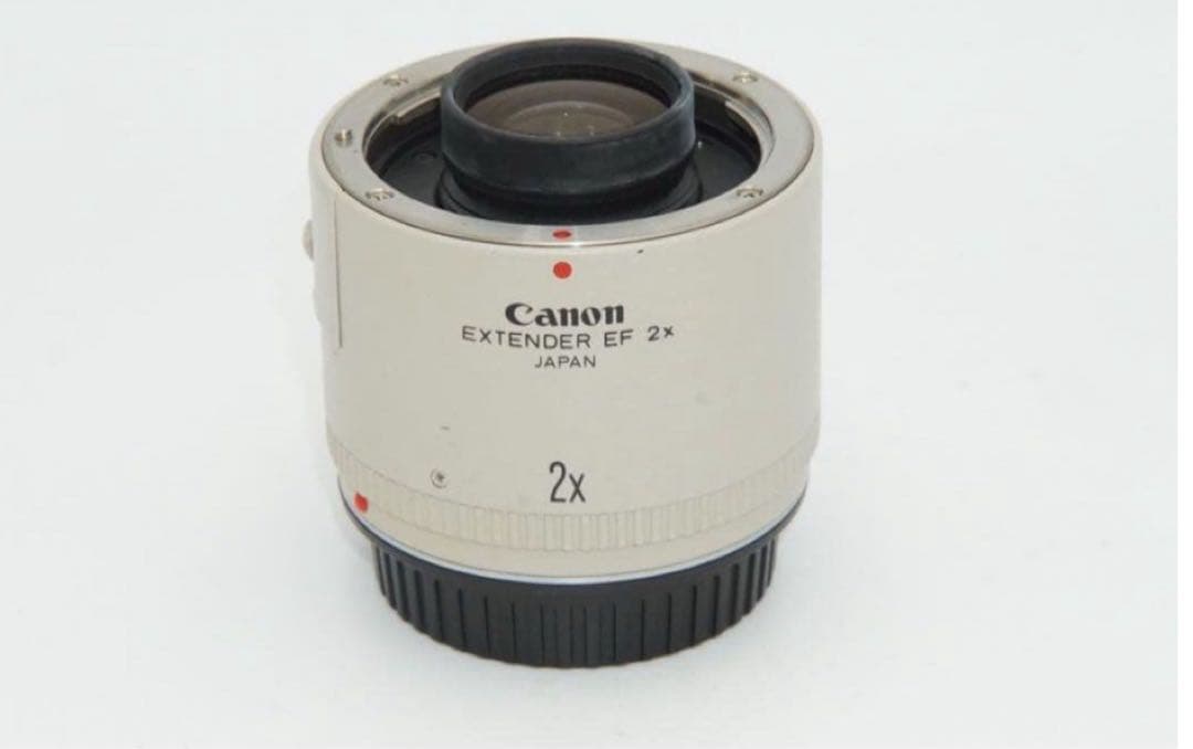 【テレコン付き】Canon EFマウント 300mm + エクステンダー 2x