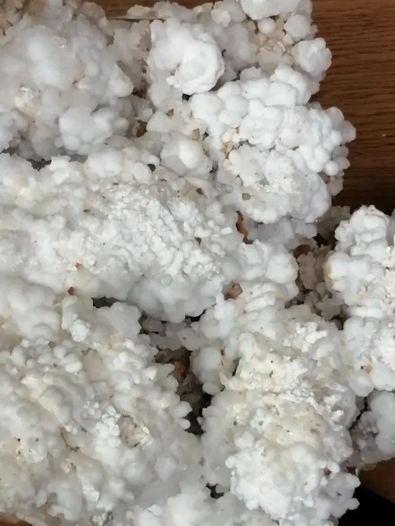 鍾乳石(アラゴナイト)　12.7kg ーtot026