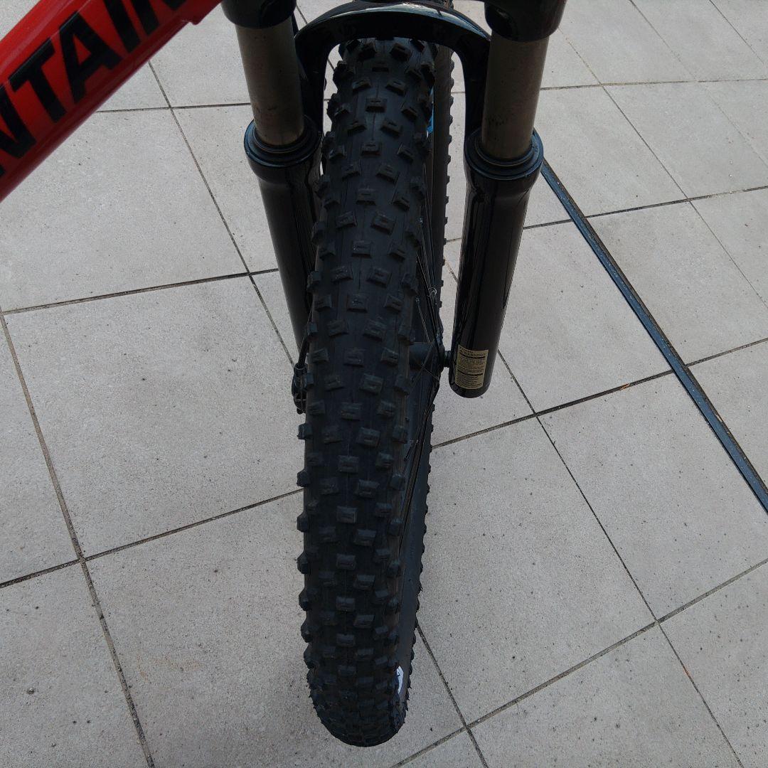 Ricky Mountain Soul Jr 24 マウンテンバイク