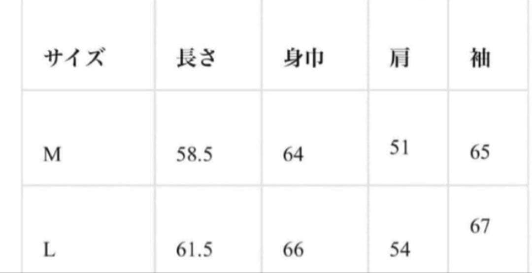 jentlouis Padded Hooded Blouson M 完売品