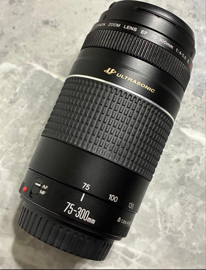 Canon EOS Kiss X10本体 + レンズ75-300mm