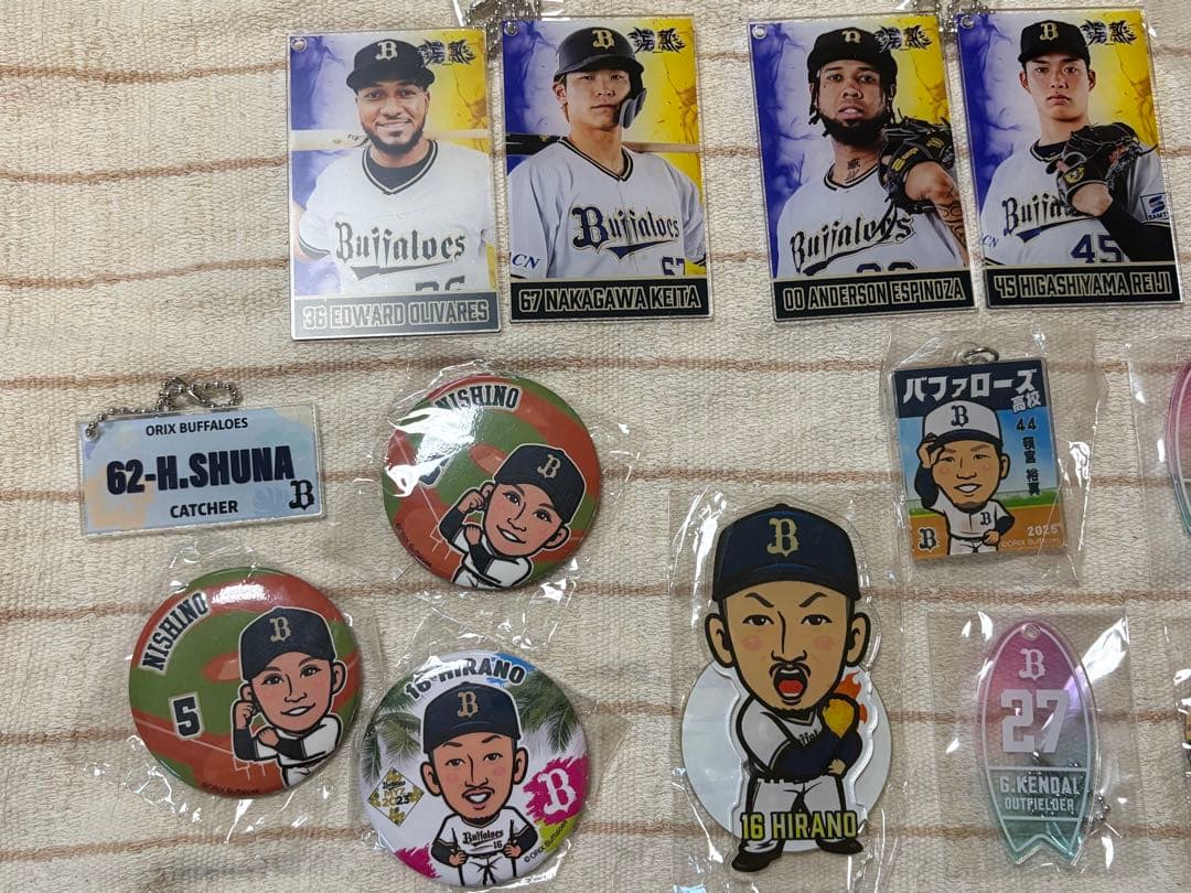 【カタログ用】オリックス・バファローズ 選手グッズ