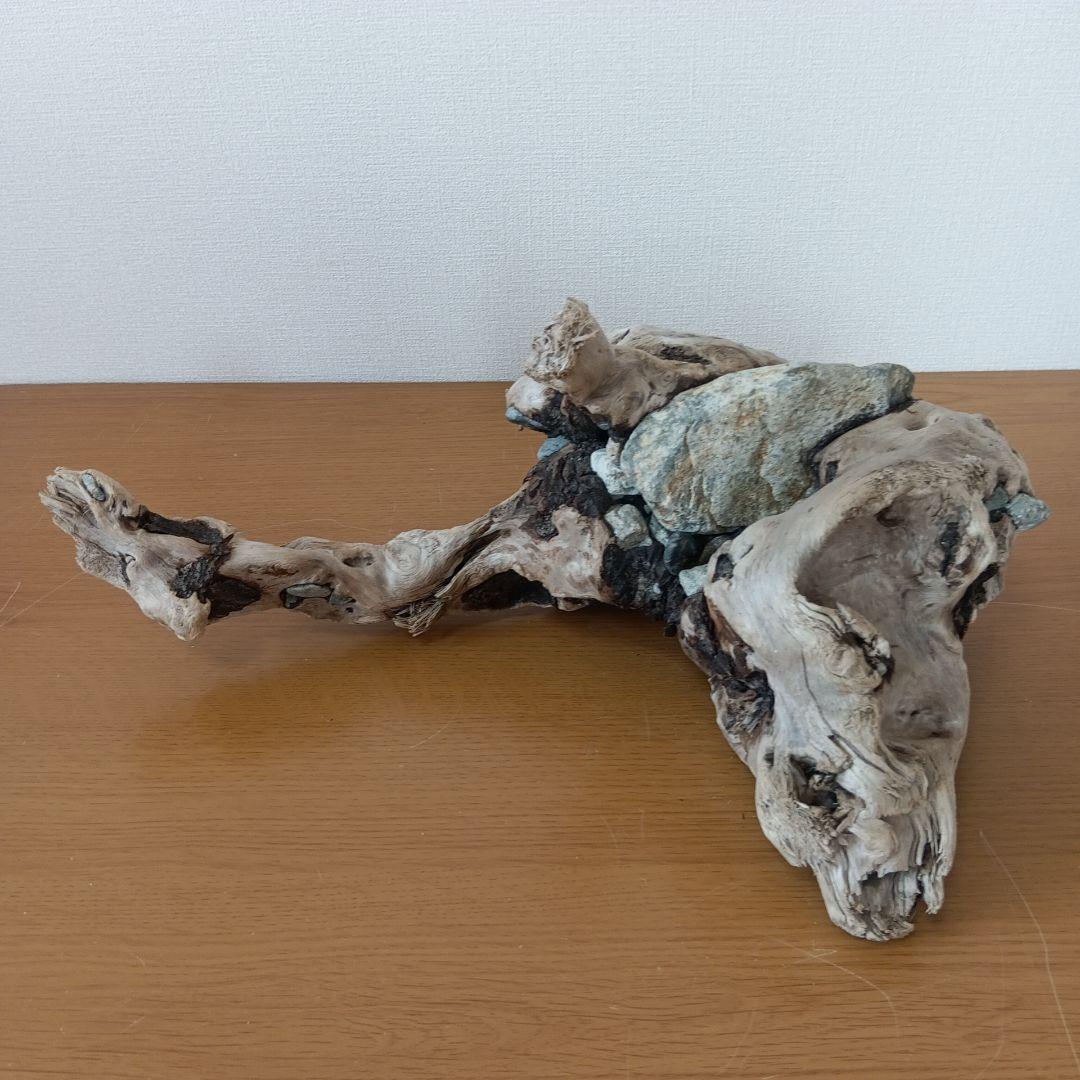 流木　石抱き　NO.95