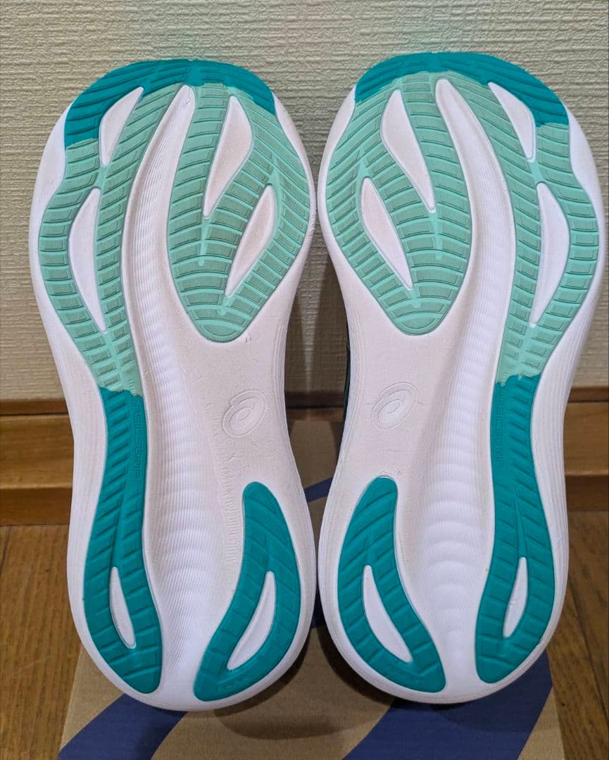 アシックス ゲルニンバス27 25.0 cm 美品