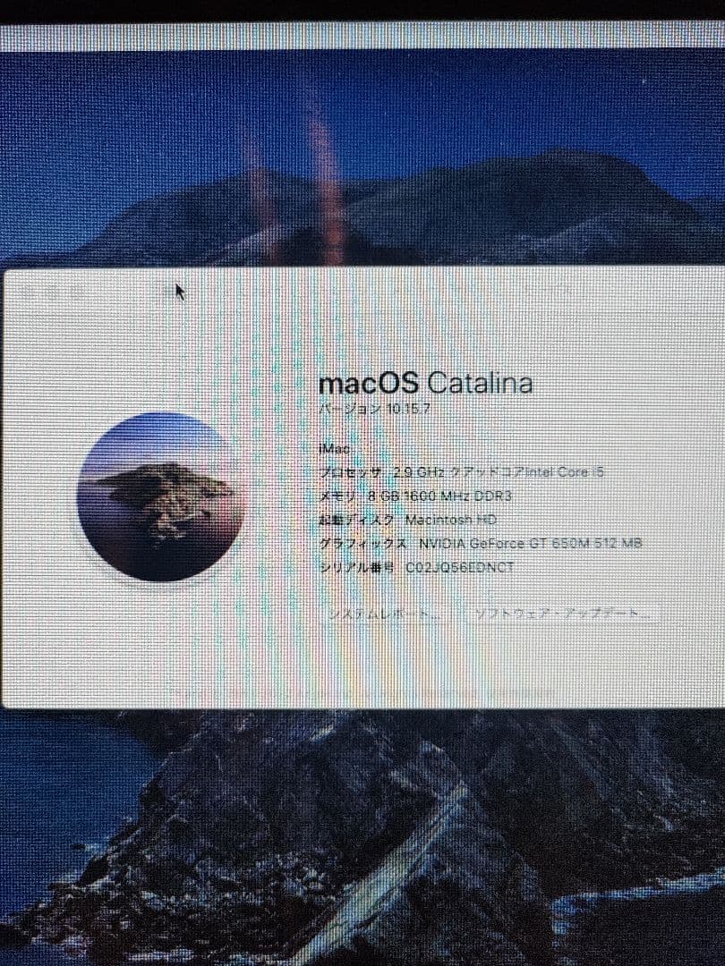 Macデスクトップ Apple iMac 21.5inch SSD 1T