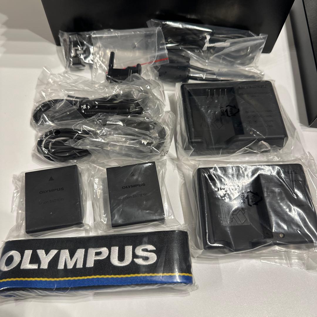 展示品！美品！OLYMPUS OM-D E-M1X デジタル一眼レフカメラ