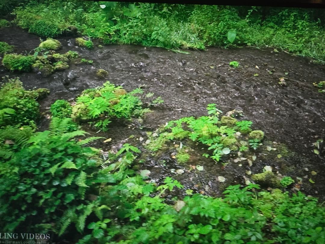 モニター台 ALIENWARE 2523hf 360hz