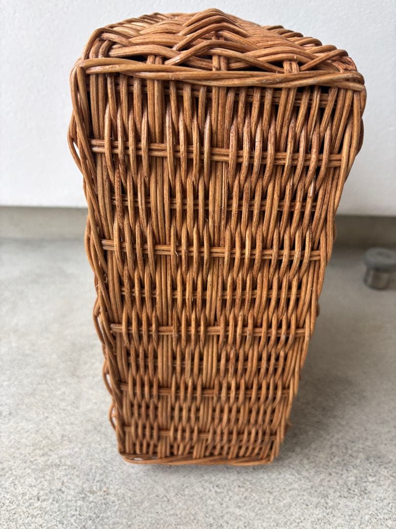 【新品】 かごバッグ　バグマティ　ブラウン