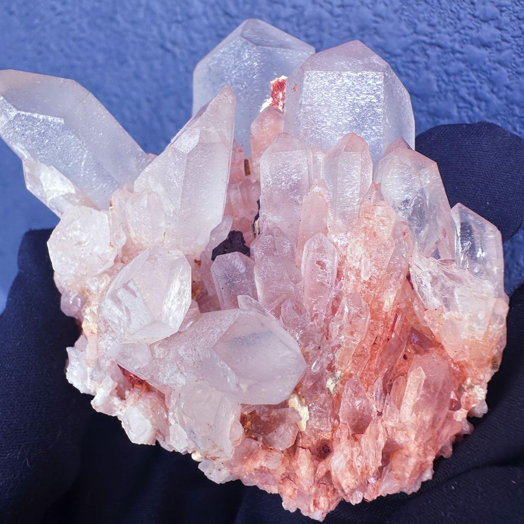 爆アレ❗️可愛いピンク♡超綺麗マダガスカル産パイナップルピンククラスターA1470