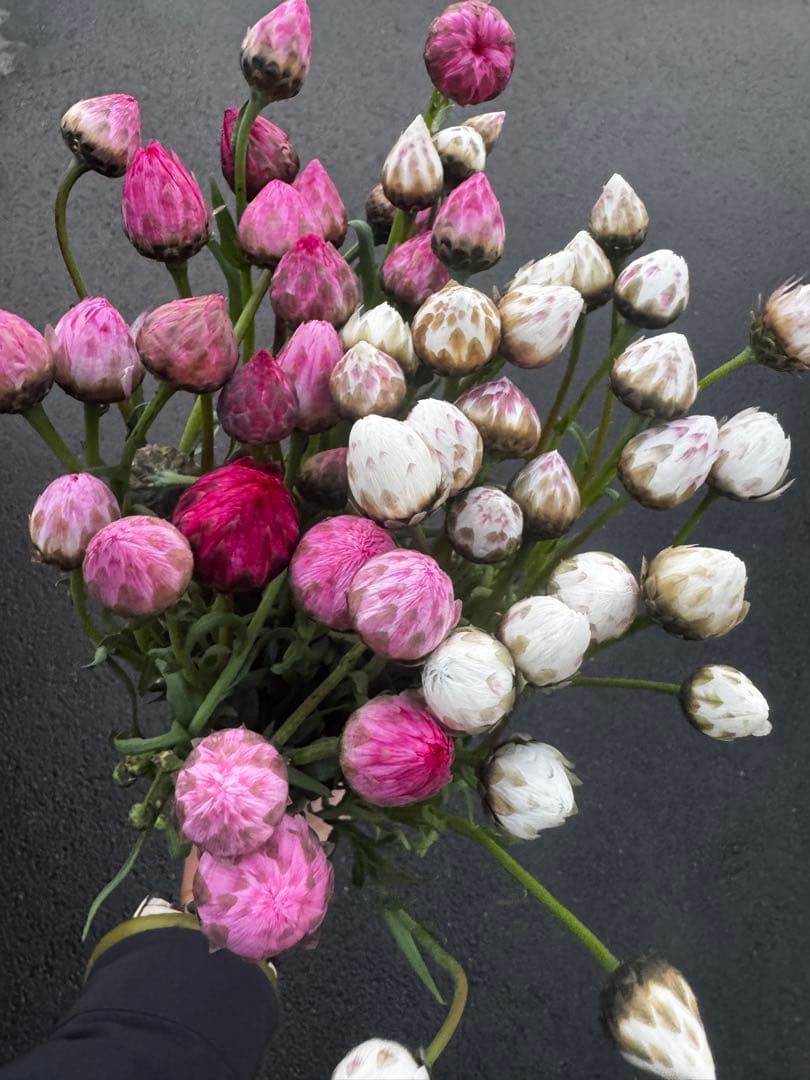 ディアスRAINBOW様 リクエスト 6点 まとめ商品