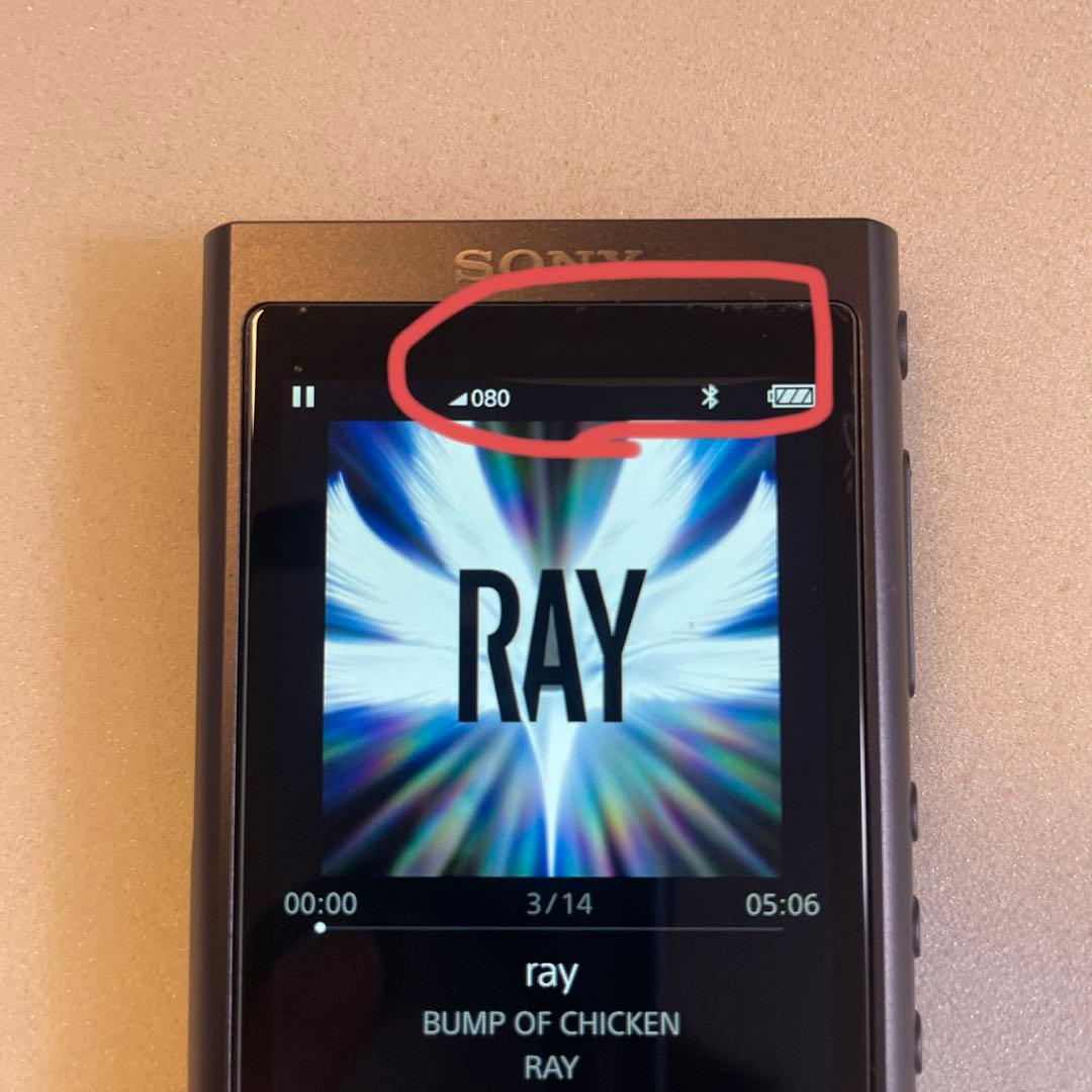 ソニー　NW-A55 16GB ハイレゾ対応