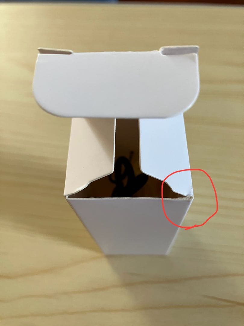 完全ワイヤレスイヤホン ゴールデンカムイ 尾形百之助モデル(特典ポーチ付き)