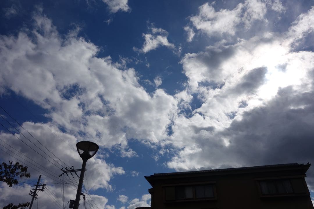 【美品✨】SONY Cyber-shot DSC-RX100 コンデジ 作例あり