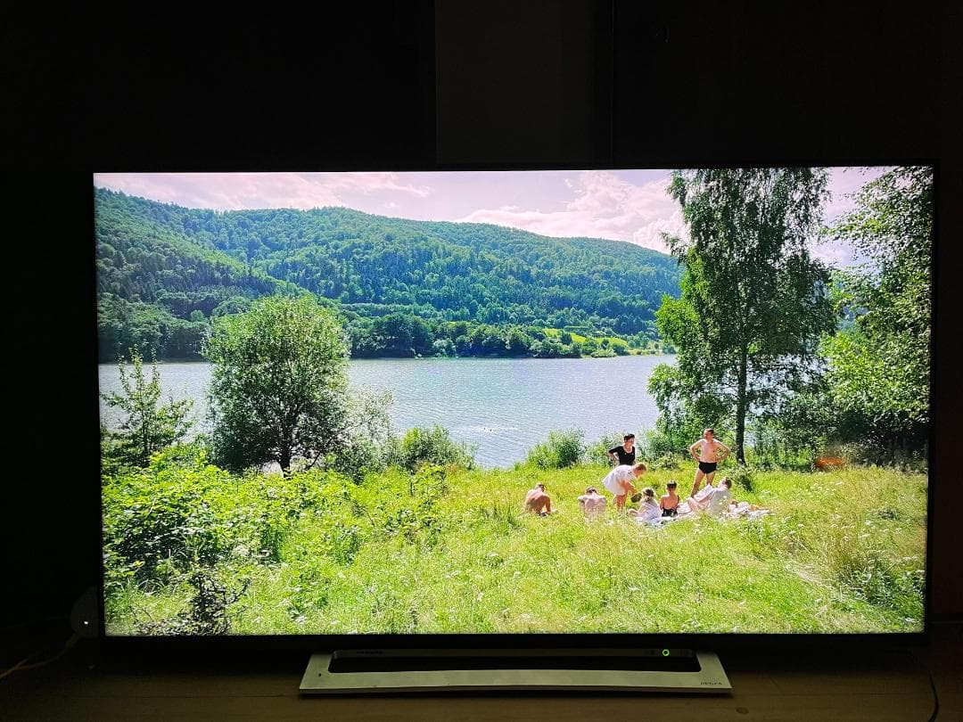 Regza 50M520X 4Kチューナー内蔵LED液晶テレビ