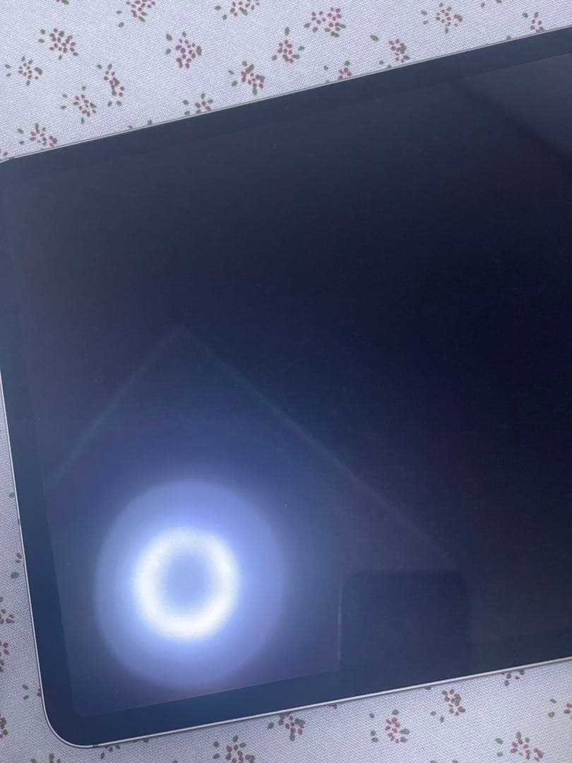 iPad Pro 11 インチ(第1世代) 256GB WiFi + セルラー