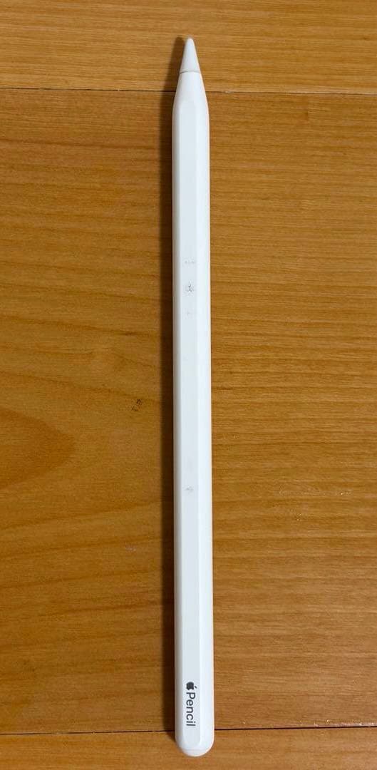 iPad Pro 11インチ 第1世代 256GB ApplePencilセット