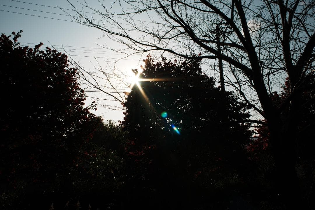 【幻のレンズ】Carl Zeiss Distagon 28mm F2 AEG 4